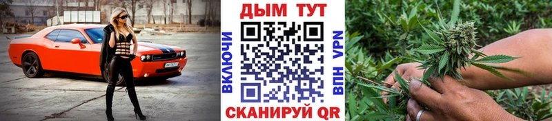 Купить где  Нальчик  Каннабис конопля 